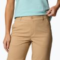 Columbia Leslie Falls Convertible панталони за кану-трекинг за жени 5