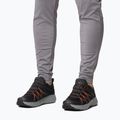 Мъжки туристически обувки Columbia Peakfreak Roam black/red quartz 8