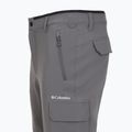 Мъжки панталони за трекинг Columbia Tech Trail Utility Winter city grey 13