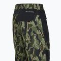 Мъжки панталони за сноуборд Columbia Coreshot Printed greenscape treebark print/black 14