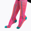 Мъжки ски чорапи Icebreaker Ski+ Medium OTC tempo/flux green/earth 4