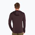 Мъжки потник Icebreaker Merino 260 Quantum IV Zip Hoodie bittersweet 3