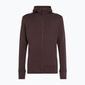 Мъжки потник Icebreaker Merino 260 Quantum IV Zip Hoodie bittersweet 11