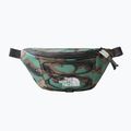 The North Face Jester Лумбален цветен бъбрек NF0A52TMI3A1 7