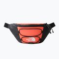 The North Face Jester Лумбална чанта за бъбреци оранжева NF0A52TMZV11 7