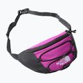 Чанта за бъбреци The North Face Jester Lumbar purple NF0A52TMYV41 6