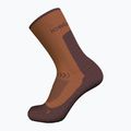 Мъжки чорапи за трекинг Icebreaker Merino Hike+ Light Crew dusty clay/carob 2