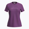 Дамска тениска за трекинг icebreaker Merino 150 Tech Lite SS Tee Sparkling Stars passion