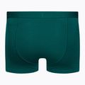 Мъжки термални боксерки Icebreaker Anatomica Cool-Lite green 105223 2