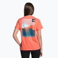Дамска тениска за трекинг The North Face Foundation Graphic orange NF0A55B2LV31 2