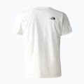 Мъжка тениска за трекинг The North Face Foundation Graphic white NF0A55EFQ4C1 2
