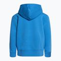 Детски суитшърт за трекинг The North Face Drew Peak P/O Hoodie blue NF0A82ENLV61 2
