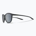 Слънчеви очила Nike Evolution matte dark grey/silver flash 5