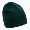 The North Face Bones Recycled зелена зимна шапка NF0A3FNSD7V1