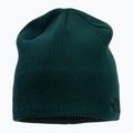 The North Face Bones Recycled зелена зимна шапка NF0A3FNSD7V1 2