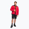 Мъжки суитшърт The North Face Alpine Polartec 200 FZ от полар червен NF0A7WWLKZ31 2