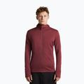Мъжки суитшърт Icebreaker Merino 260 Quantum IV LS Zip Hoodie port/agate