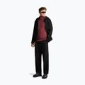 Мъжки суитшърт Icebreaker Merino 260 Quantum IV LS Zip Hoodie port/agate 2