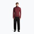 Мъжки суитшърт Icebreaker Merino 260 Quantum IV LS Zip Hoodie port/agate 4