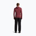 Мъжки суитшърт Icebreaker Merino 260 Quantum IV LS Zip Hoodie port/agate 5