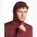 Мъжки суитшърт Icebreaker Merino 260 Quantum IV LS Zip Hoodie port/agate 6