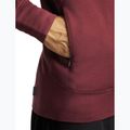 Мъжки суитшърт Icebreaker Merino 260 Quantum IV LS Zip Hoodie port/agate 9