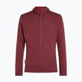 Мъжки суитшърт Icebreaker Merino 260 Quantum IV LS Zip Hoodie port/agate 10