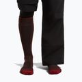 Мъжки скиорски чорапи icebreaker Merino Ski+ Medium OTC bittersweet/port/black 3