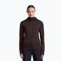 Дамски суитшърт Icebreaker Merino 260 Quantum IV LS Zip Hoodie bittersweet