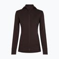 Дамски суитшърт Icebreaker Merino 260 Quantum IV LS Zip Hoodie bittersweet 9