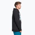 Мъжки суитшърт The North Face Printed Tekno Hoodie black NF0A7ZUHKY41 3