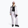 Дамско яке за сноуборд The North Face Ceptor lavender fog 2