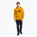 Мъжки суитшърт за трекинг The North Face Drew Peak Pullover Hoodie yellow NF00AHJY76S1 2
