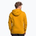 Мъжки суитшърт за трекинг The North Face Drew Peak Pullover Hoodie yellow NF00AHJY76S1 4