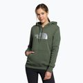 Суитшърт за трекинг за жени The North Face Drew Peak Pullover Hoodie green NF0A55ECNYC1
