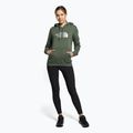 Суитшърт за трекинг за жени The North Face Drew Peak Pullover Hoodie green NF0A55ECNYC1 2