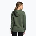 Суитшърт за трекинг за жени The North Face Drew Peak Pullover Hoodie green NF0A55ECNYC1 4