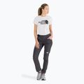 Дамски панталони за трекинг The North Face AO Winter Slim Straight сив NF0A7Z8B0C51 2