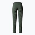 Дамски софтшел панталони The North Face Speedlight Slim Straight thyme 2