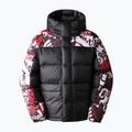 Мъжко пухено яке The North Face Printed Hmlyn Down Parka black NF0A5J1J99A1