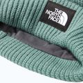 Зимна шапка The North Face Salty dark sage 3