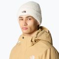 Дамска зимна шапка The North Face Salty Bae Lined gardenia white 4