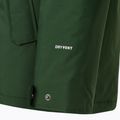 Мъжко зимно яке The North Face Zaneck Jacket pine needle 9