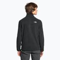 Мъжки поларен пуловер The North Face Homesafe Snap Neck Fleece Pullover black 2