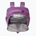 Раница The North Face Berkeley 16l black currant purple/yellow silt 4