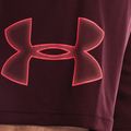 Мъжки тренировъчни шорти Under Armour Tech Graphic, тъмно кестеняво/бета 4