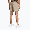 Мъжки тренировъчни шорти Under Armour UA Vanish Woven 6in timberwolf taupe/black 3
