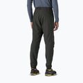 Мъжки панталони за трекинг Patagonia Nano-Air Light Bottoms black 3