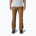 Мъжки панталони за трекинг Patagonia Terravia Trail Regular coriander brown