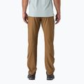 Мъжки панталони за трекинг Patagonia Terravia Trail Regular coriander brown 2